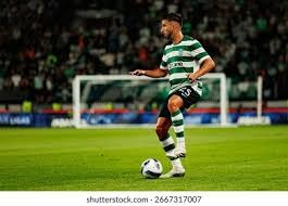 SD第1348期精彩图集