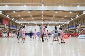 詹姆斯历年最佳扣篮